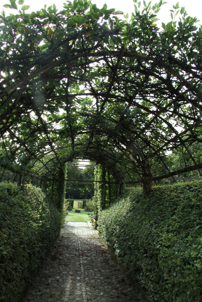 lovely leafy arch