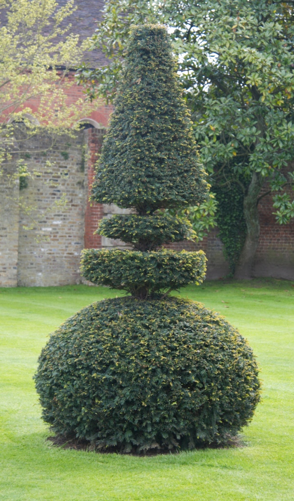 finished topiary