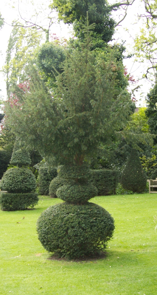 unfinished topiary