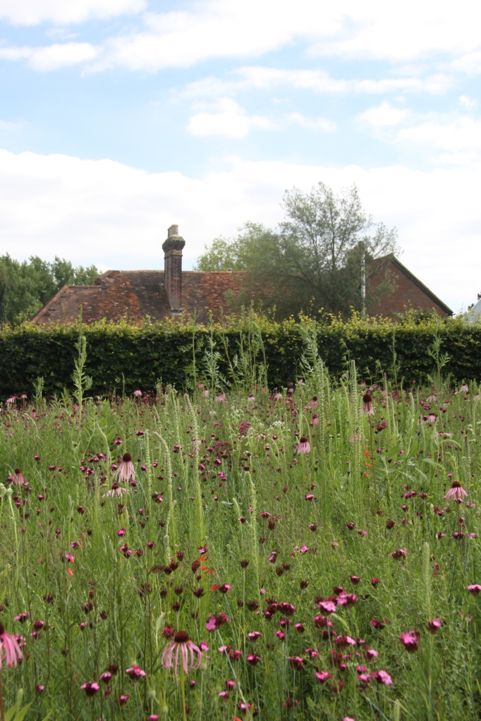 roof and meadow
